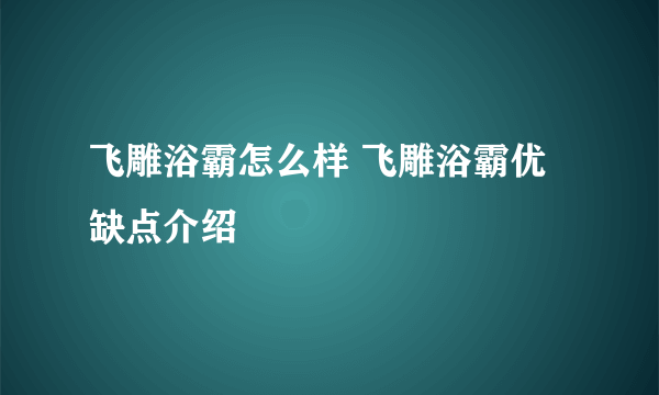 飞雕浴霸怎么样 飞雕浴霸优缺点介绍