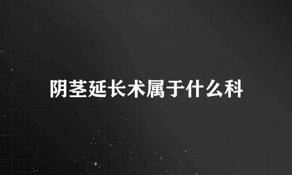 阴茎延长术属于什么科