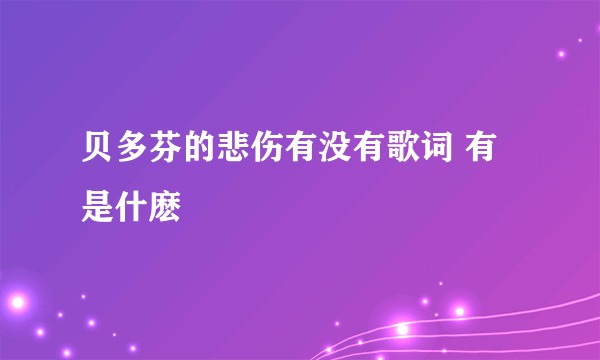 贝多芬的悲伤有没有歌词 有是什麽