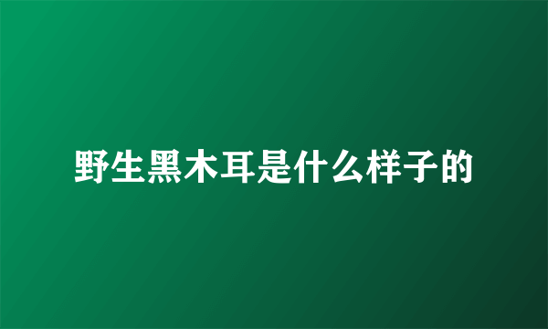 野生黑木耳是什么样子的