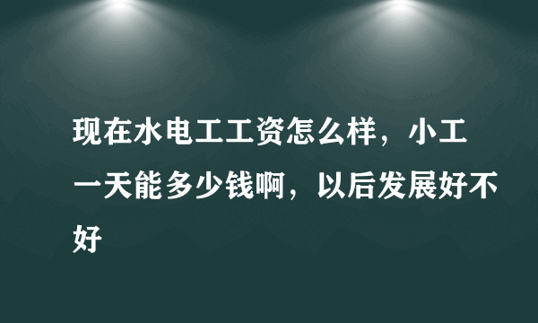 现在水电工工资怎么样，小工一天能多少钱啊，以后发展好不好