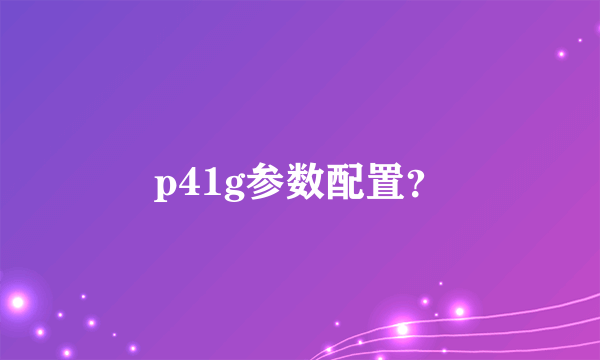 p41g参数配置？