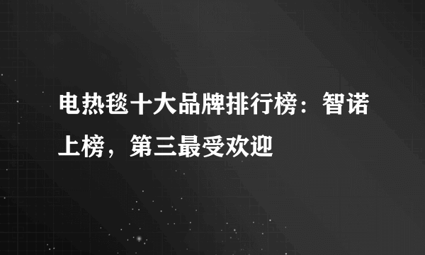 电热毯十大品牌排行榜：智诺上榜，第三最受欢迎