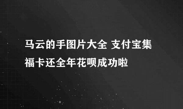 马云的手图片大全 支付宝集福卡还全年花呗成功啦