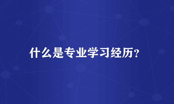 什么是专业学习经历？