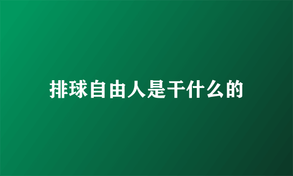 排球自由人是干什么的