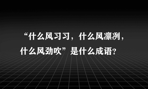 “什么风习习，什么风凛冽，什么风劲吹”是什么成语？