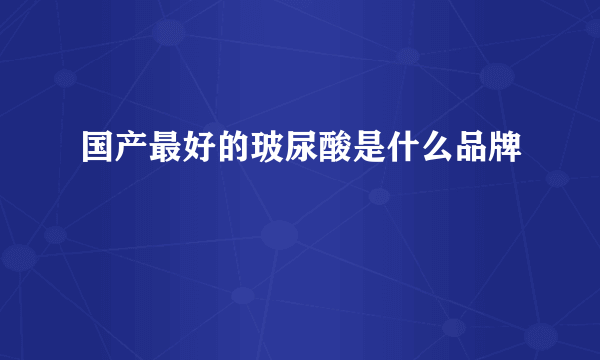 国产最好的玻尿酸是什么品牌