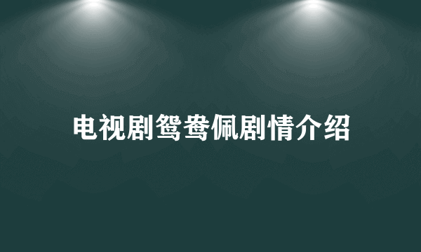 电视剧鸳鸯佩剧情介绍