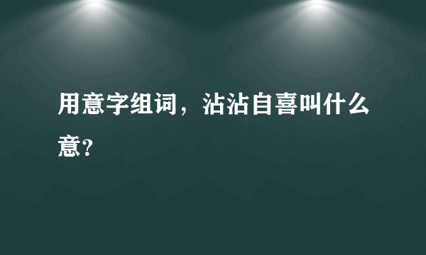 用意字组词，沾沾自喜叫什么意？