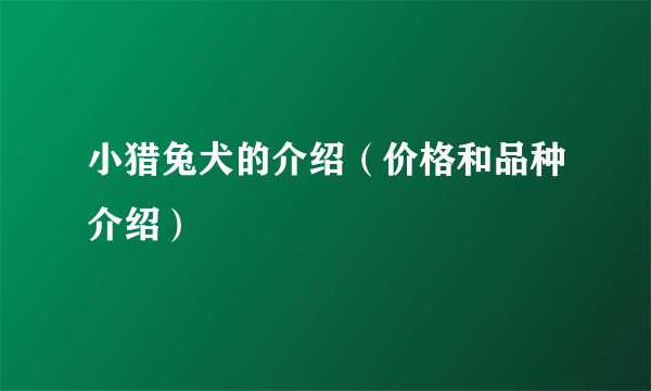 小猎兔犬的介绍（价格和品种介绍）