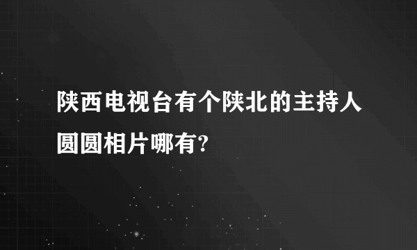 陕西电视台有个陕北的主持人圆圆相片哪有?