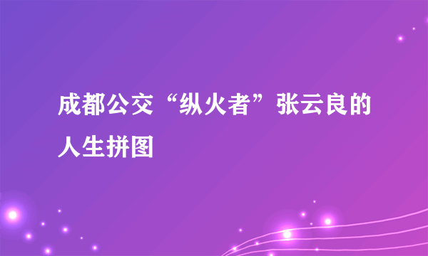 成都公交“纵火者”张云良的人生拼图