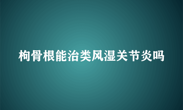 枸骨根能治类风湿关节炎吗