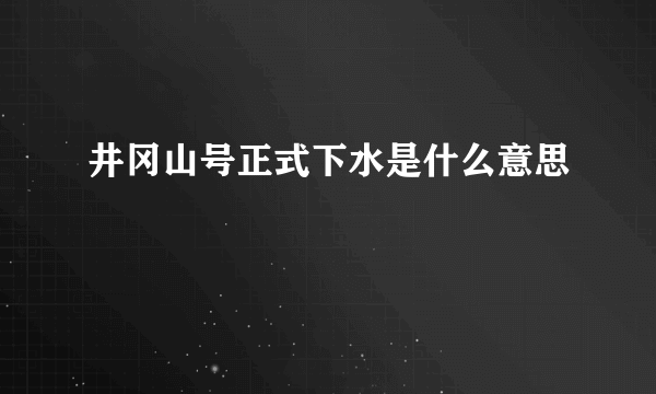 井冈山号正式下水是什么意思