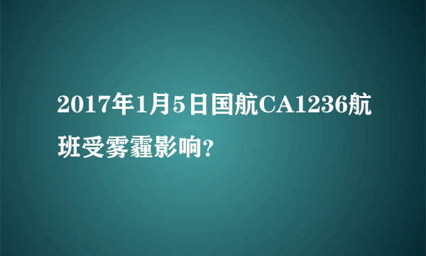 2017年1月5日国航CA1236航班受雾霾影响？