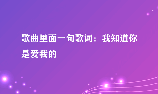 歌曲里面一句歌词：我知道你是爱我的