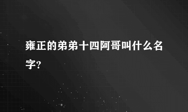 雍正的弟弟十四阿哥叫什么名字？