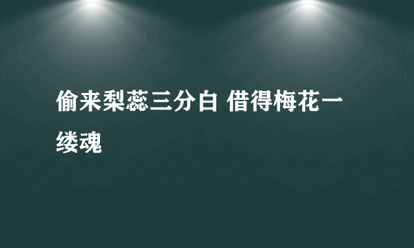 偷来梨蕊三分白 借得梅花一缕魂