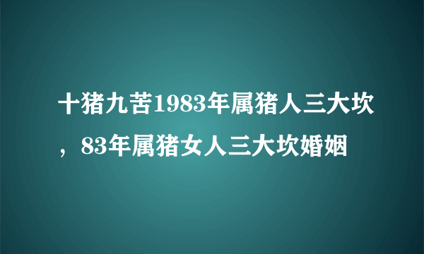 十猪九苦1983年属猪人三大坎，83年属猪女人三大坎婚姻