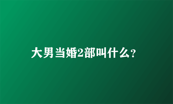 大男当婚2部叫什么？