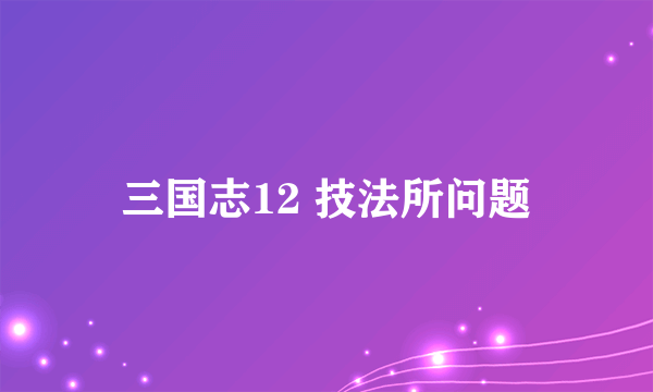 三国志12 技法所问题