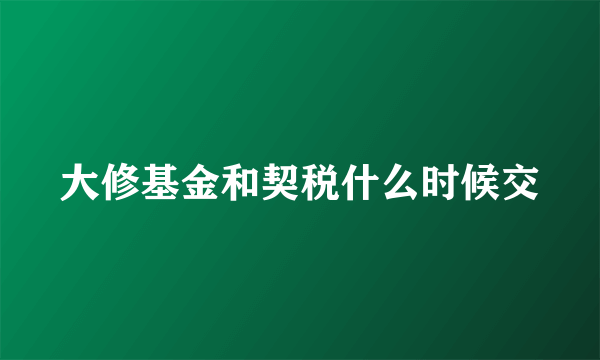 大修基金和契税什么时候交