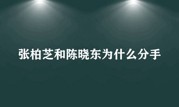 张柏芝和陈晓东为什么分手