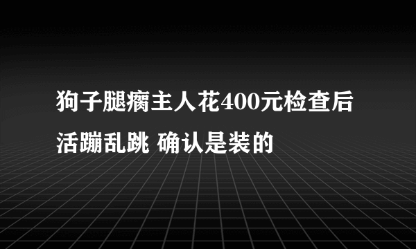 狗子腿瘸主人花400元检查后活蹦乱跳 确认是装的