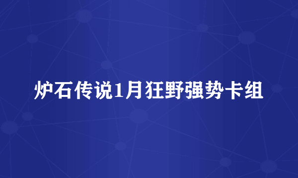 炉石传说1月狂野强势卡组