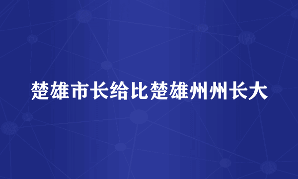 楚雄市长给比楚雄州州长大