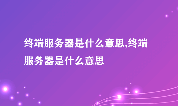 终端服务器是什么意思,终端服务器是什么意思