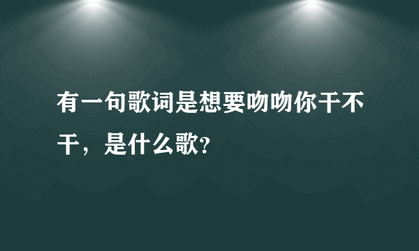 有一句歌词是想要吻吻你干不干，是什么歌？