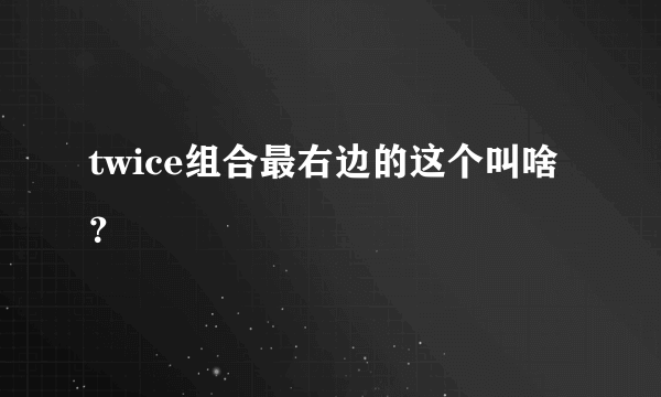 twice组合最右边的这个叫啥？