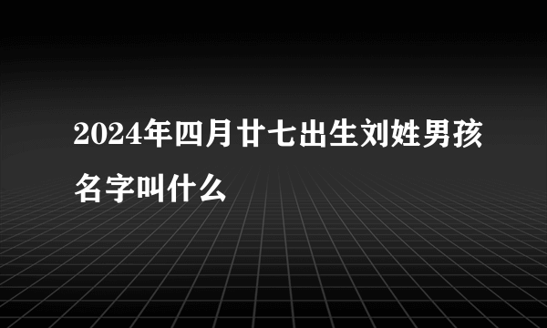 2024年四月廿七出生刘姓男孩名字叫什么