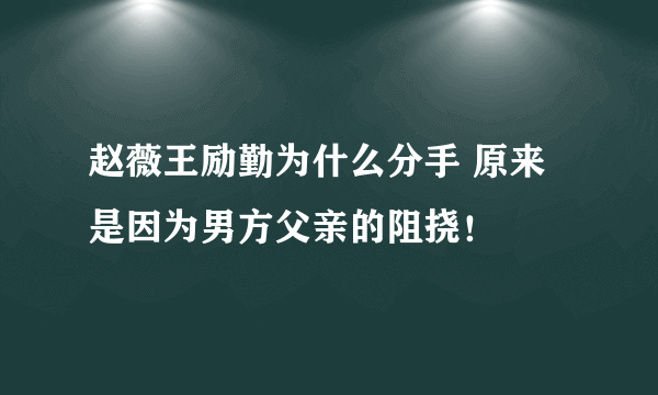 赵薇王励勤为什么分手 原来是因为男方父亲的阻挠！