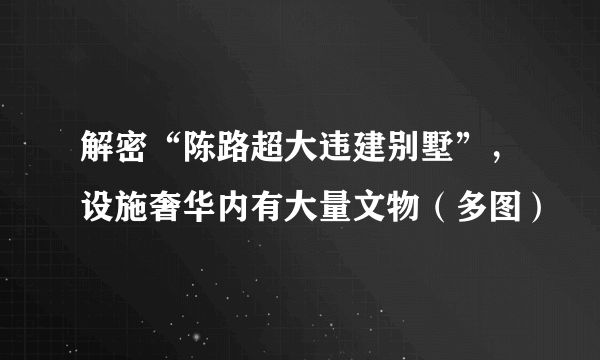 解密“陈路超大违建别墅”，设施奢华内有大量文物（多图）