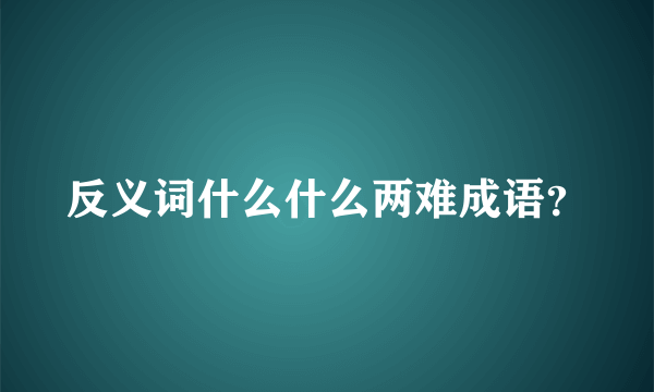 反义词什么什么两难成语？