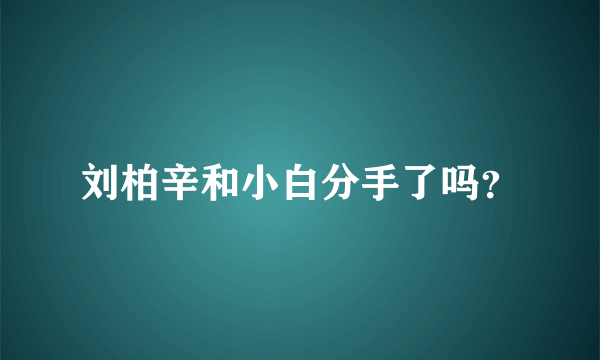 刘柏辛和小白分手了吗？