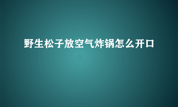 野生松子放空气炸锅怎么开口