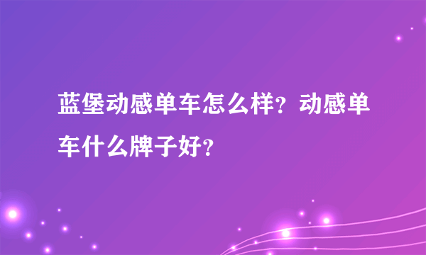 蓝堡动感单车怎么样？动感单车什么牌子好？