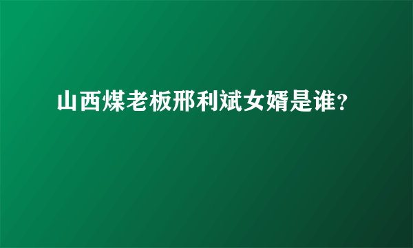 山西煤老板邢利斌女婿是谁？