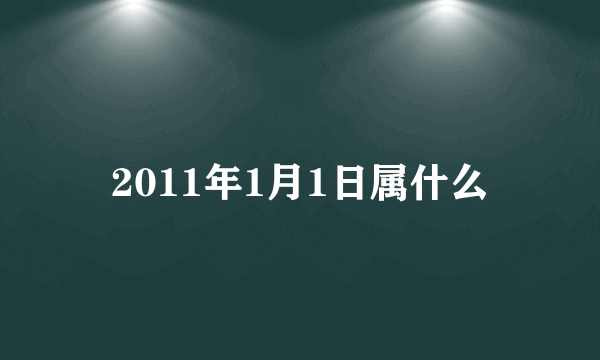 2011年1月1日属什么