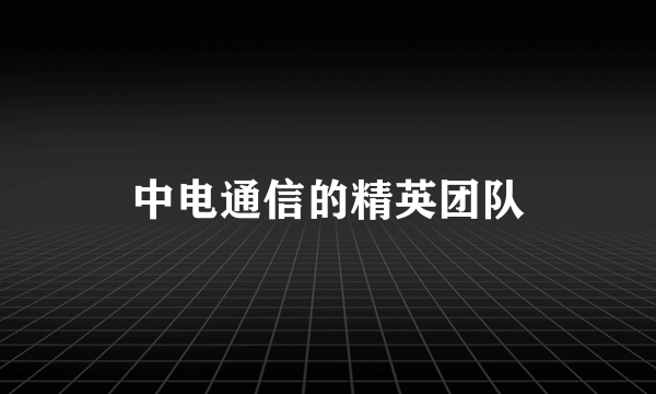 中电通信的精英团队