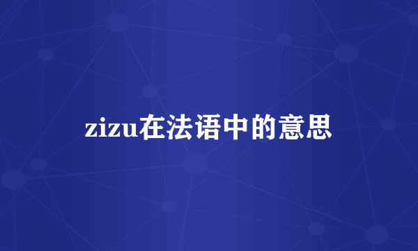 zizu在法语中的意思