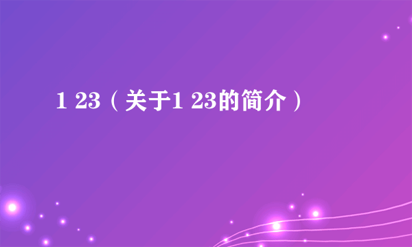 1 23（关于1 23的简介）