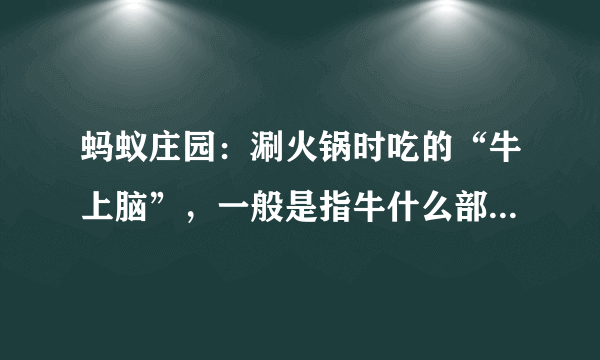 蚂蚁庄园：涮火锅时吃的“牛上脑”，一般是指牛什么部位的肉？