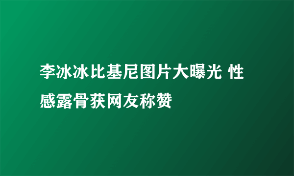 李冰冰比基尼图片大曝光 性感露骨获网友称赞