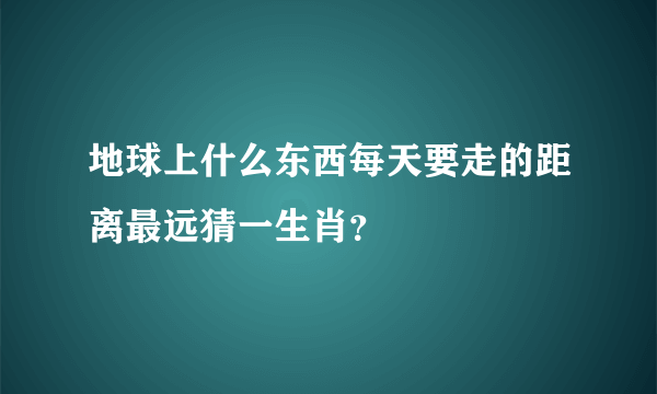 地球上什么东西每天要走的距离最远猜一生肖？