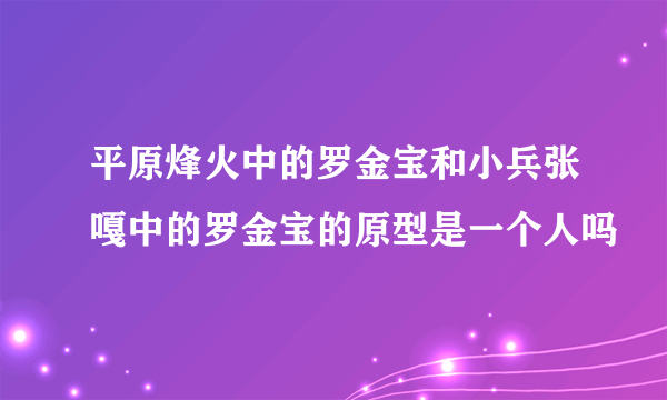 平原烽火中的罗金宝和小兵张嘎中的罗金宝的原型是一个人吗